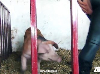 Kagney Linn Karter Porn Xxx