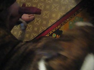 Japanese Time Stop Porn Xxx