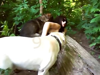 Alice Delish Porn Xxx