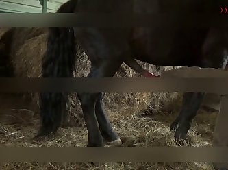 Yoga Pants Hole Fuck Porn Xxx