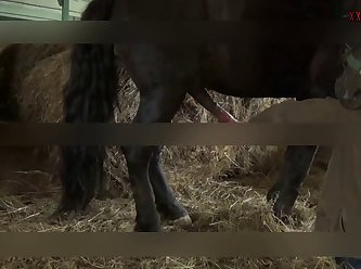 Yoga Pants Hole Fuck Porn Xxx