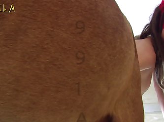 Big Boobs Porn Video Xxx