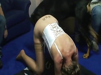 Black Orgy Porn Xxx