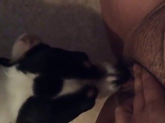 Norwegian Girl Porn Xxx Sex Tube
