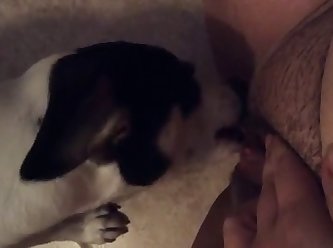 Norwegian Girl Porn Xxx Sex Tube