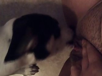 Norwegian Girl Porn Xxx Sex Tube