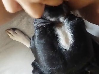 Japanese Lesbian Schoolgirl Bullied Xxx Porn