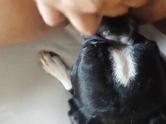 Japanese Lesbian Schoolgirl Bullied Xxx Porn