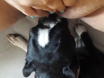 Japanese Lesbian Schoolgirl Bullied Xxx Porn