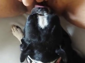 Japanese Lesbian Schoolgirl Bullied Xxx Porn