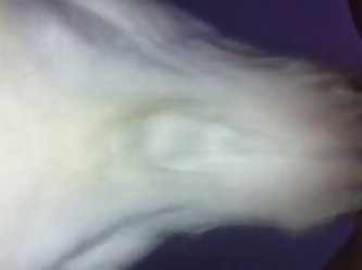 Xxx New Porn Star