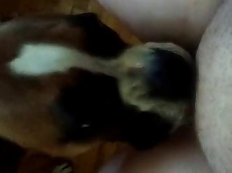 Marie Mccray Anal Gif Tumblr Xxx Porn