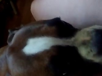 Marie Mccray Anal Gif Tumblr Xxx Porn