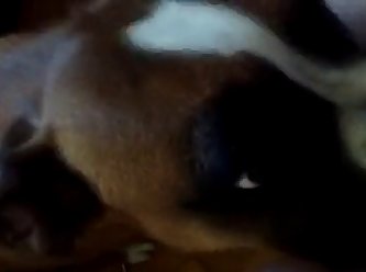 Marie Mccray Anal Gif Tumblr Xxx Porn