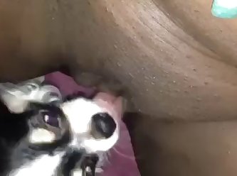 Danika Mori Anal Xxx Porn