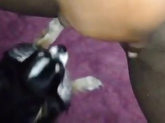 Danika Mori Anal Xxx Porn