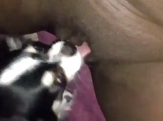 Danika Mori Anal Xxx Porn