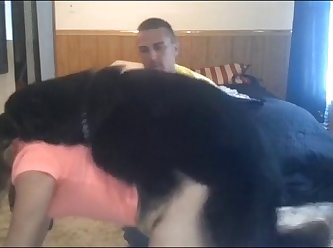 Fake Casting Xxx Porn