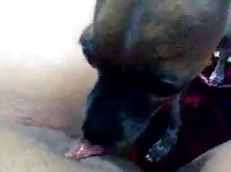 Porn Tube Hd Xxx