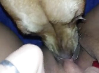 Son Forced Mom Porn Xxx