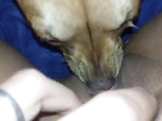 Son Forced Mom Porn Xxx