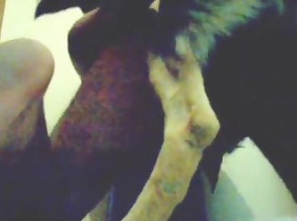 Gay Men Tied Up Anal Porn Xxx