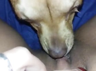 Son Forced Mom Porn Xxx