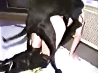 Camilla Araujo Porn Video Xxx