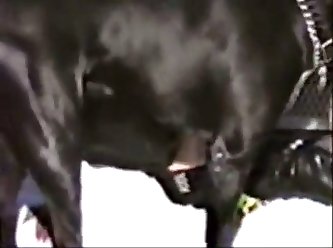 Camilla Araujo Porn Video Xxx