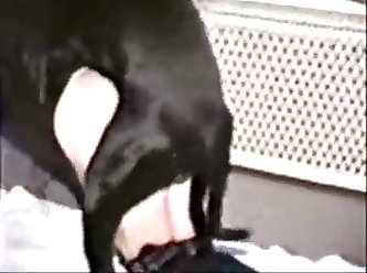 Camilla Araujo Porn Video Xxx