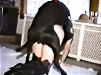 Camilla Araujo Porn Video Xxx