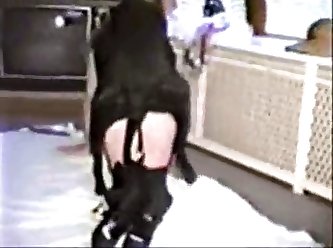 Camilla Araujo Porn Video Xxx