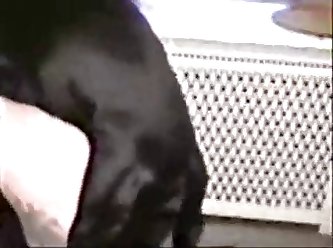 Camilla Araujo Porn Video Xxx