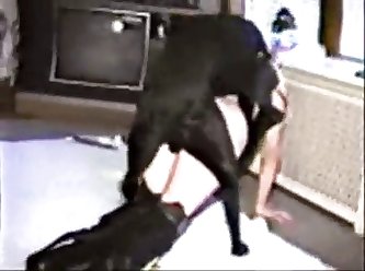 Camilla Araujo Porn Video Xxx