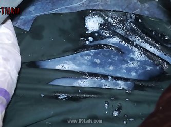 Animal Sex Hikayeler