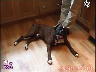 Zoo Porn Man Fucks Dog