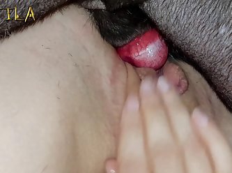 Hd Animal Sex With Girl
