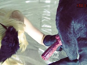 Animal Sex Xxx Zoo