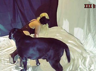 Animal Sex Xxx Zoo