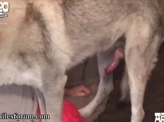 Australia Animal Sex