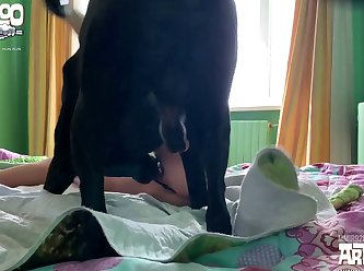 Bollywood Animal Sex Scenes