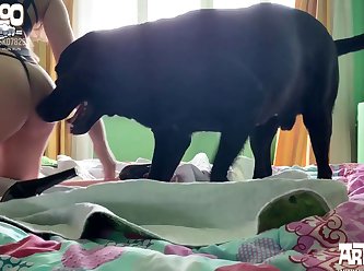 Bollywood Animal Sex Scenes