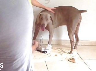 Bunny Blue Petting Zoo Porn