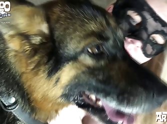 Friends Animal Sex