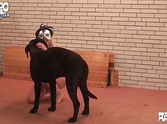 Animal Sex Two Dogs