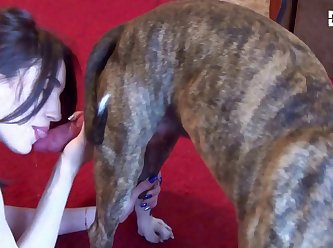 Free Zoo Porn Hd