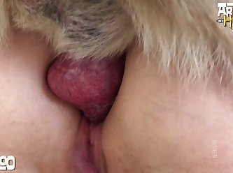 Zoo Porn Rental Villa