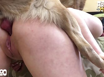 Zoo Porn Rental Villa