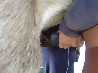 Denise Nicole Frazier Dog Video Porn