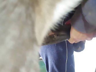 Denise Nicole Frazier Dog Video Porn